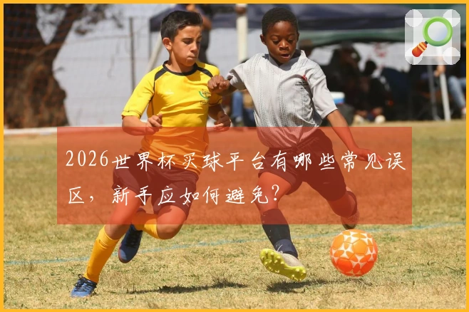 2026世界杯买球平台有哪些常见误区，新手应如何避免？