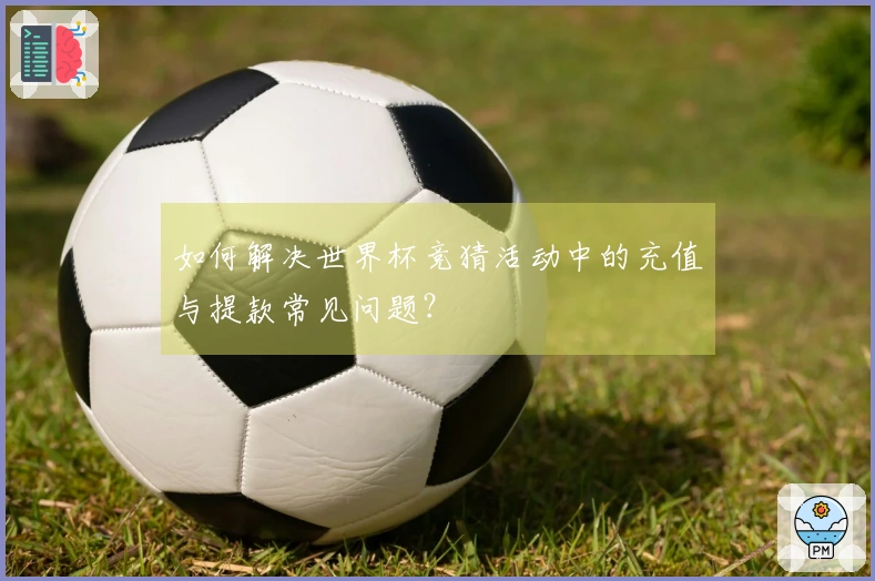 如何解决世界杯竞猜活动中的充值与提款常见问题？
